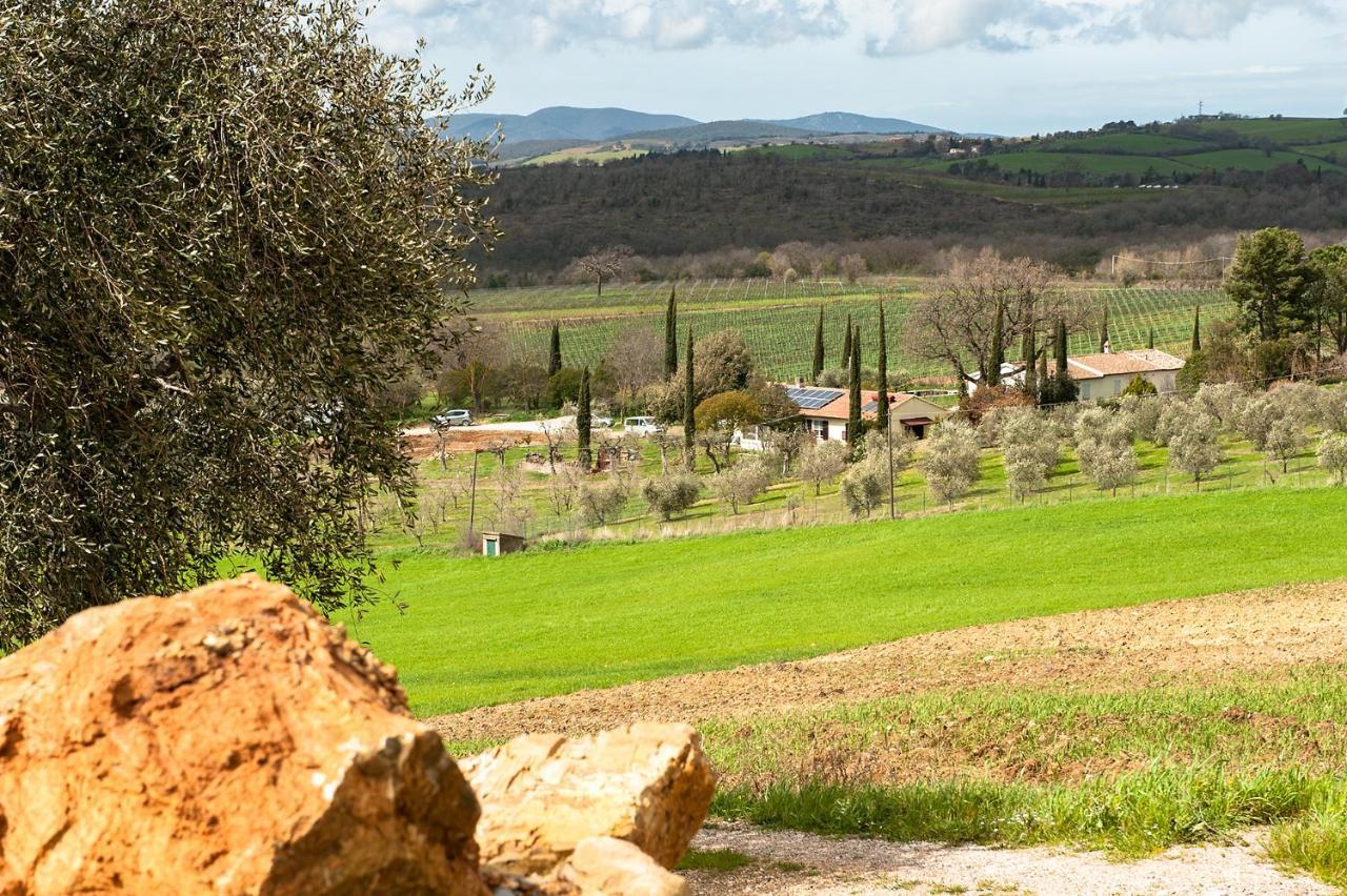 Artemisia Negli Ulivi B&B Magliano in Toscana Eksteriør bilde