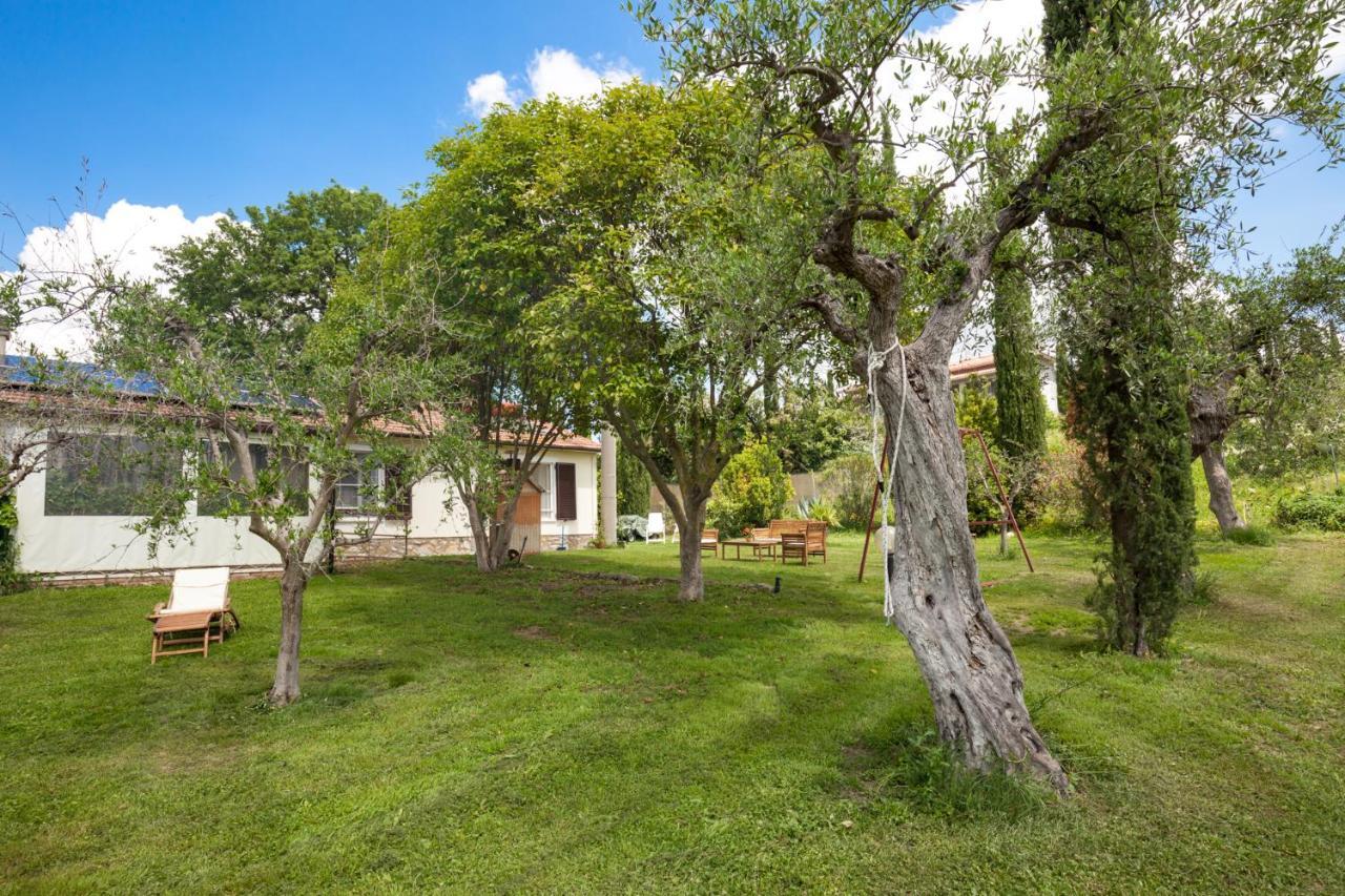 Artemisia Negli Ulivi B&B Magliano in Toscana Eksteriør bilde