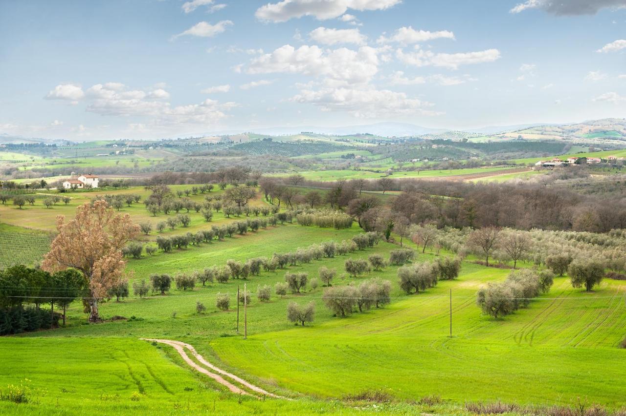 Artemisia Negli Ulivi B&B Magliano in Toscana Eksteriør bilde