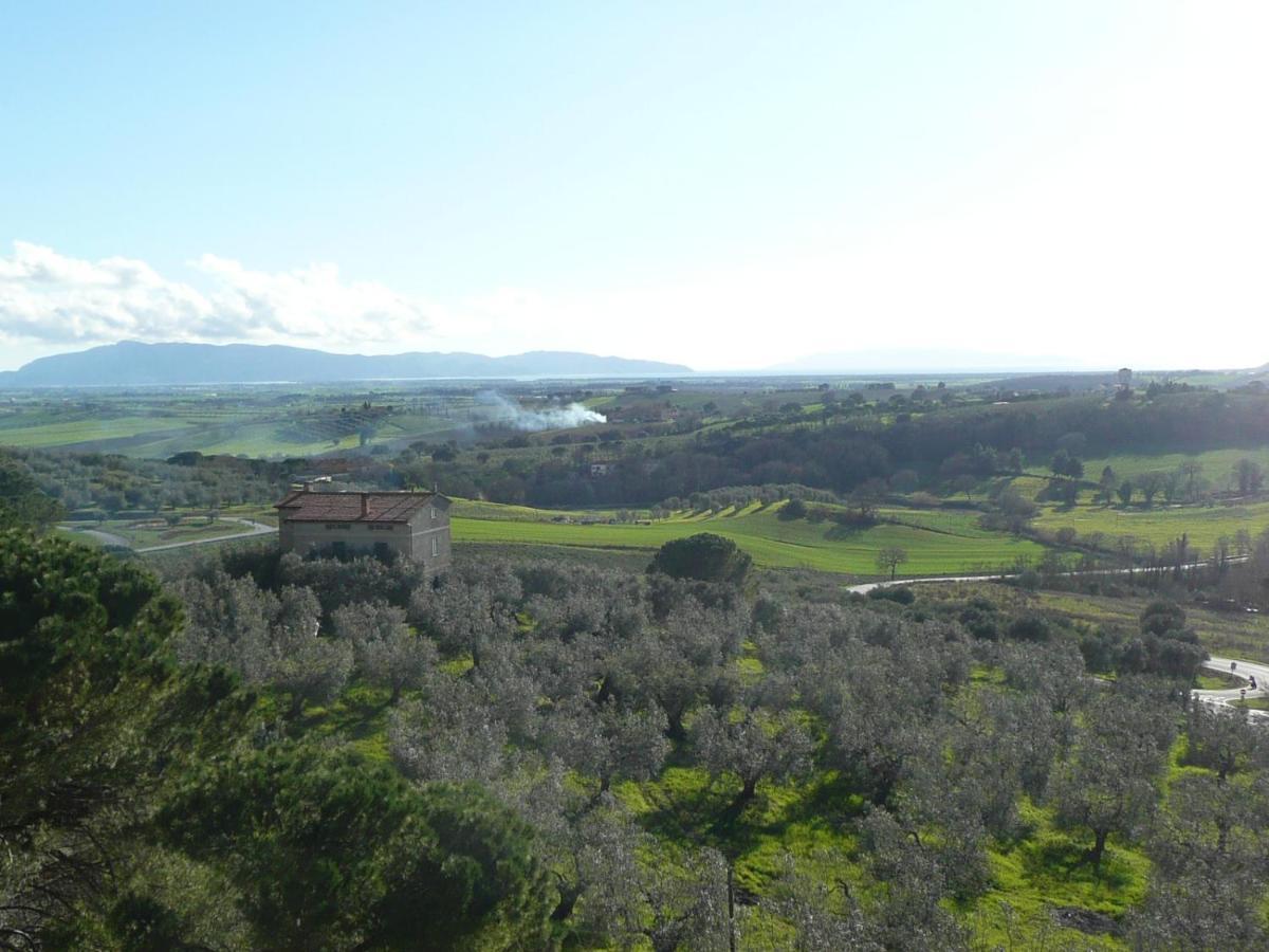 Artemisia Negli Ulivi B&B Magliano in Toscana Eksteriør bilde