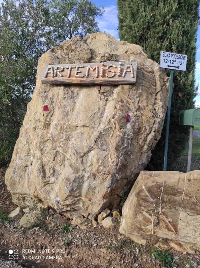 Artemisia Negli Ulivi B&B Magliano in Toscana Eksteriør bilde