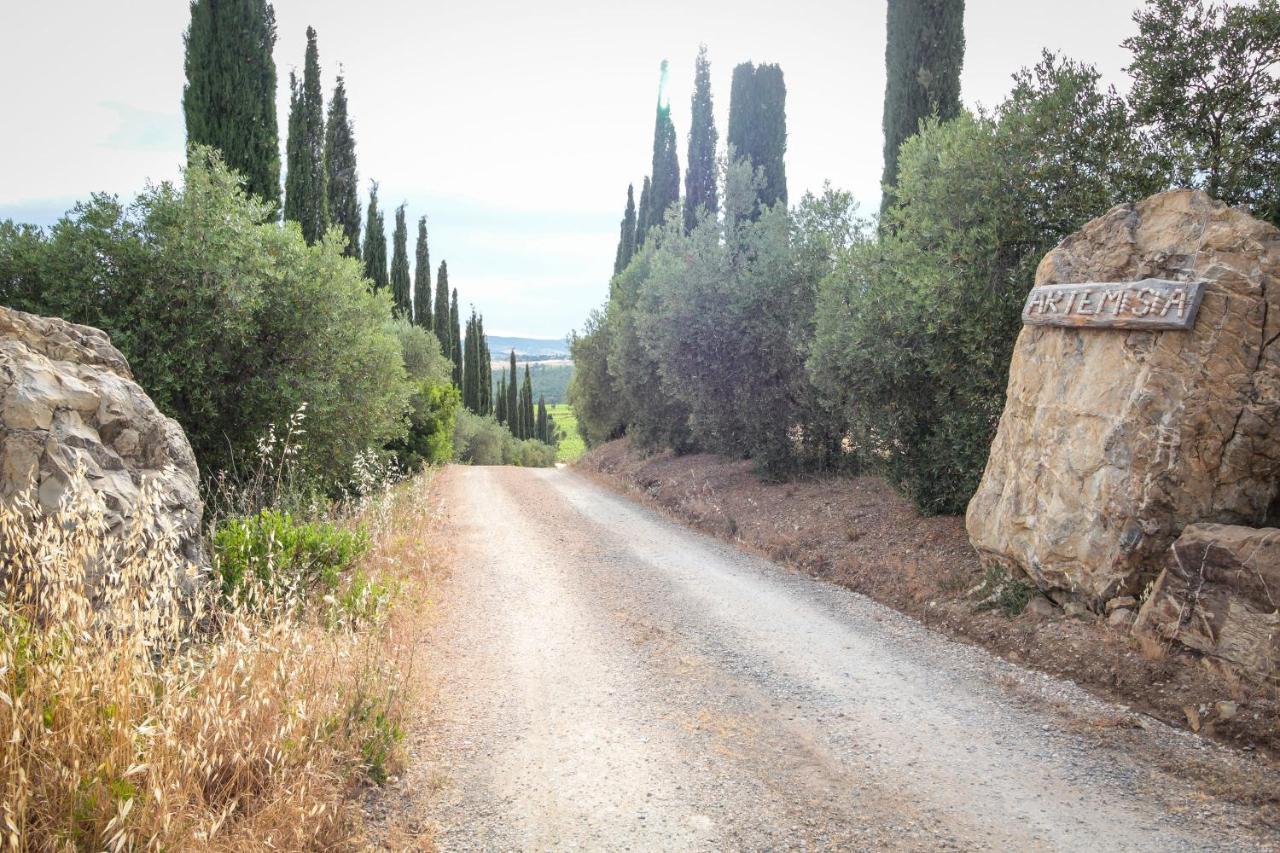 Artemisia Negli Ulivi B&B Magliano in Toscana Eksteriør bilde