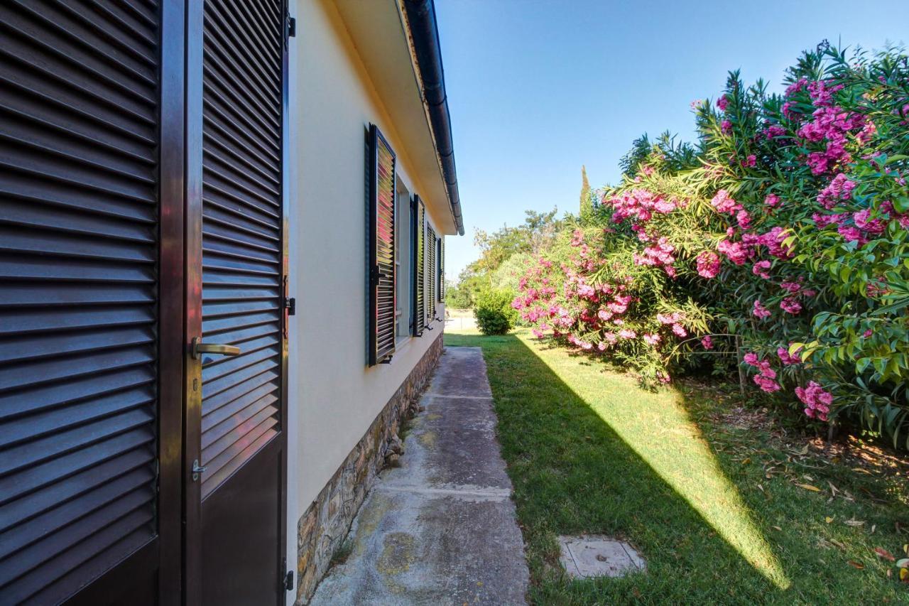 Artemisia Negli Ulivi B&B Magliano in Toscana Eksteriør bilde