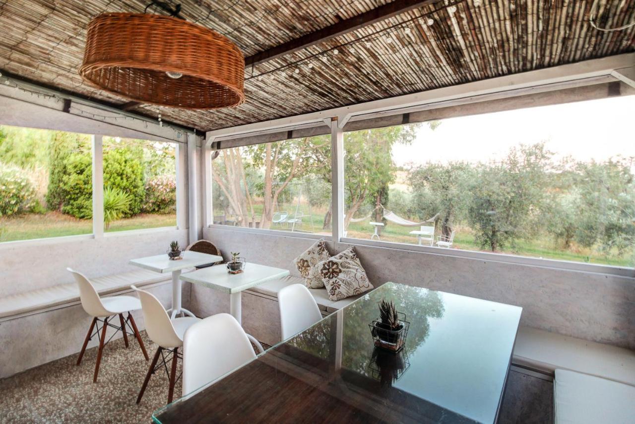 Artemisia Negli Ulivi B&B Magliano in Toscana Eksteriør bilde